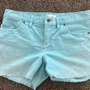 Carve Designs Dogtown 4" shorts